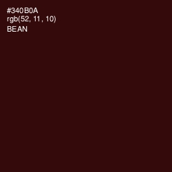 #340B0A - Bean   Color Image